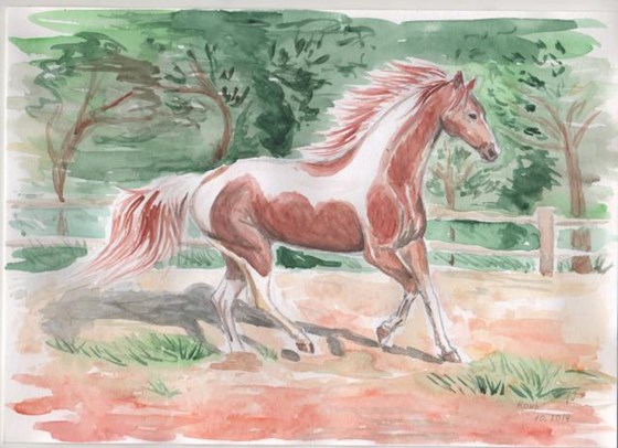 Рисунки от руки: Конь
