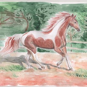 Рисунки от руки: Конь
